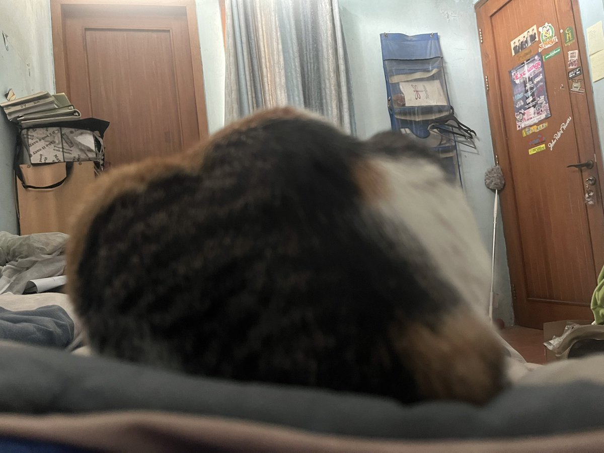 Me: Ukii, bangun dulu dong. Mamanya mau makan, nyuci. Lanjut entar siang lagi ya

Yookie: