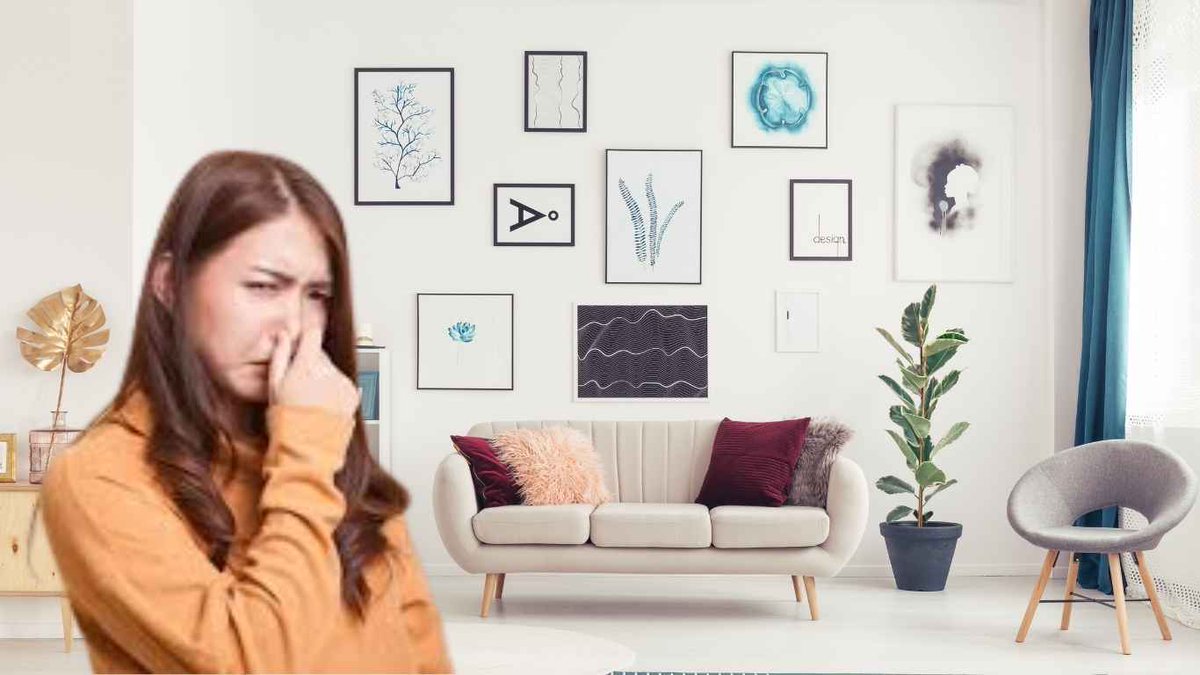 10 Cara Efektif Mengusir Bau Tak Sedap Di Ruang Tamu ranjana.id/10-cara-efekti…