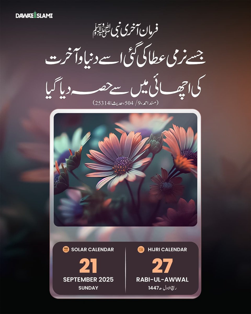 Khawaja Shahid (خواجہ شاھد) tweet media