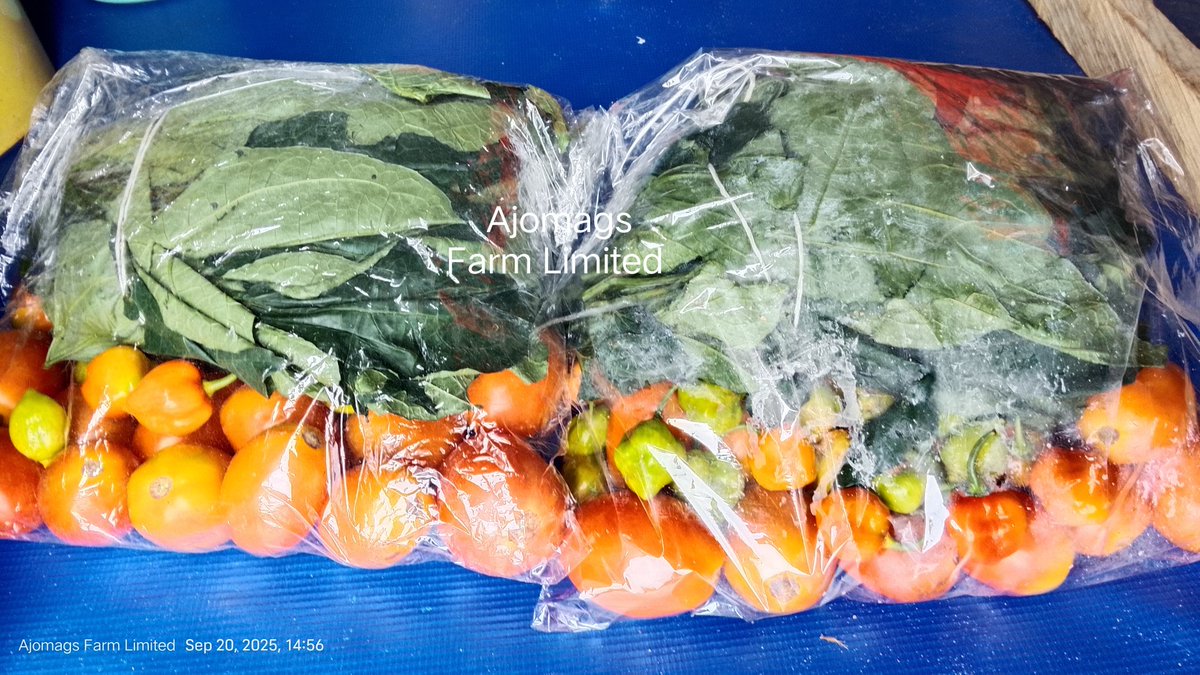 Farmer Aritetsoma Joy Opuro tweet media