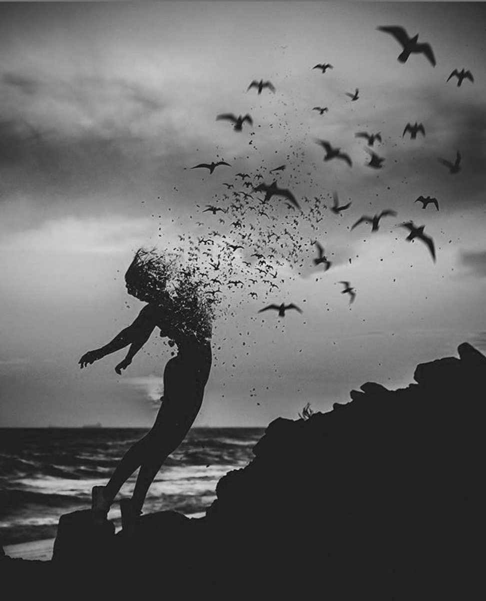 شيء من بعض: 

لقاءٌ متلعثم الإجابات 
ولهث الأسئلة خلف اللاءات 
متأرجح  الأبجدية فغادر البوح 
كراقصةٍ غجريةٍ تمايلت بين 
الماءِ والنار!
رحل الجمهور  ترك التصفيق 
علامة إستفهام!