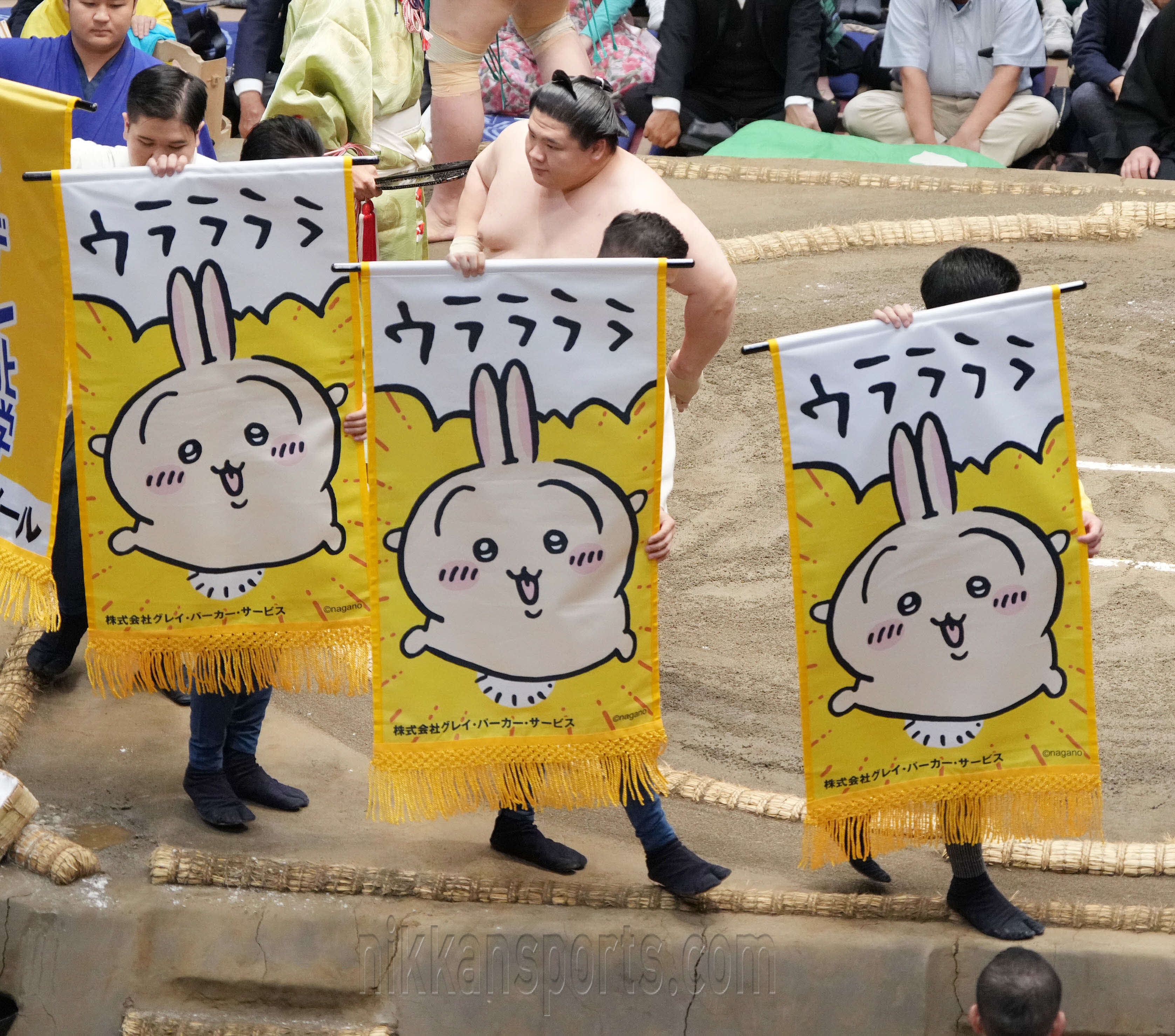 柴田淳🍚6年ぶりバンド編成3都市LIVE Tour決定