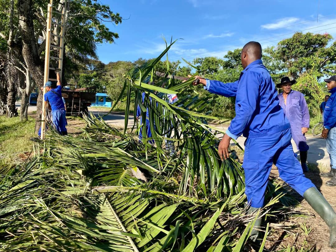 Un ejercicio defensivo territorial se realizó en la Zona de Defensa 16 Previsora, de la ciudad de #Camagüey, como parte del Día Territorial de la Defensa.
En la jornada brigadas de la <a href="/ETECSA_Cuba/">ETECSA</a> #Camagüey  realizaron la poda de árboles. 
📷 <a href="/ACN_Cuba/">Agencia Cubana de Noticias</a>