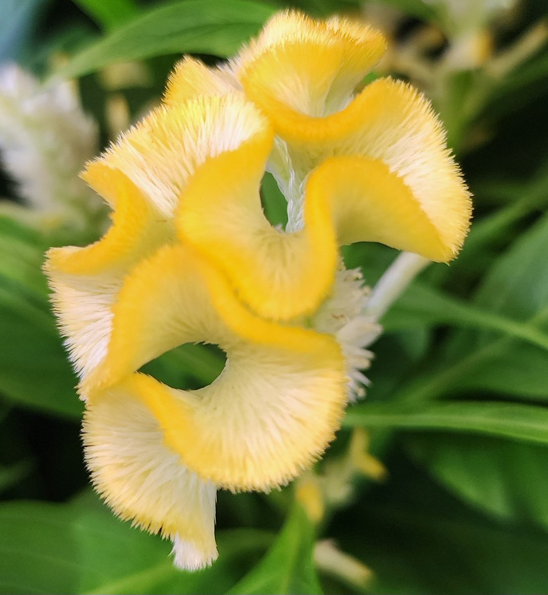 おはようございます👋😆

早朝の雨降りの成田空港🛩️を
出発して🚚清水まで来て荷卸し
次は浜松で荷卸しだけど
此が午後卸しなので待機中！

天気回復して休日なので
交通量も多いので
ニコッと笑顔で安全運転

素敵な休日を過ごしましょう🤗