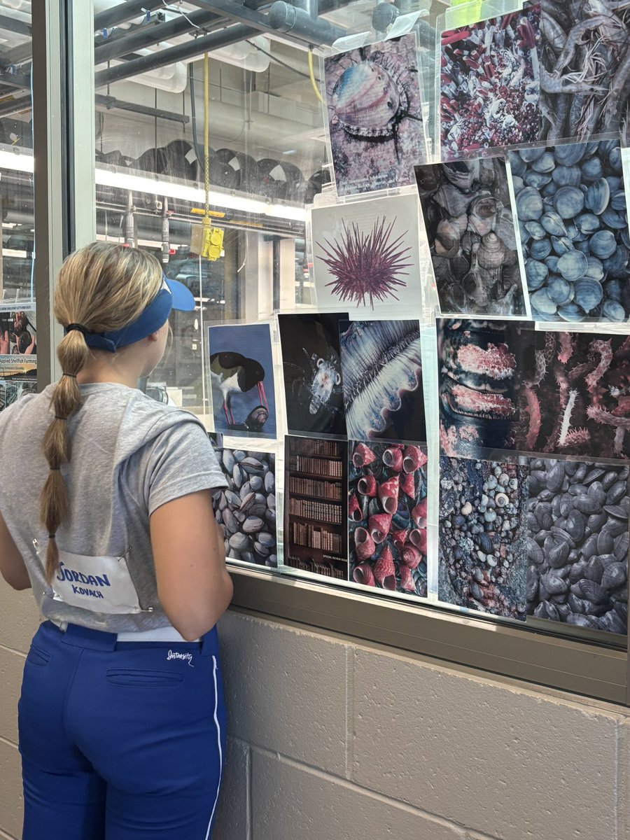 Thank you <a href="/RWUSOFTBALL/">Roger Williams University Softball</a> for a great camp today! Loved hanging out with Coach Maudie at shortstop, working with the coaches, and meeting the girls. I also had an amazing tour, especially the marine biology and aqua labs! 🐠 Can’t wait to be back!! <a href="/CTLightning09GD/">CT Lightning '09 Gold ⚡</a> <a href="/CTLightHoag/">CT Lightning Gold Hoag</a>