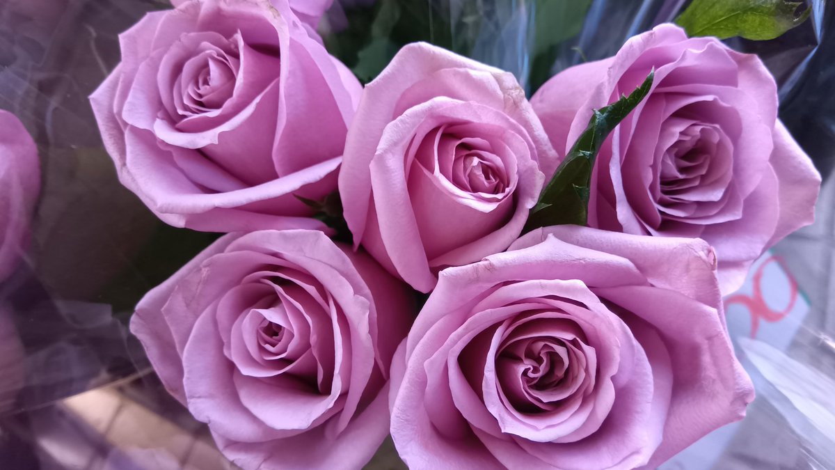 ワールドフラワー本日も10時から営業しています💕

🌟新鮮なお花を市場から直接仕入れています🌟
🎃季節の切り花、フラワーアレンジメント、観葉植物等💐🪴店内にて販売しております！

#ワールドフラワー
#梶が谷
#溝の口