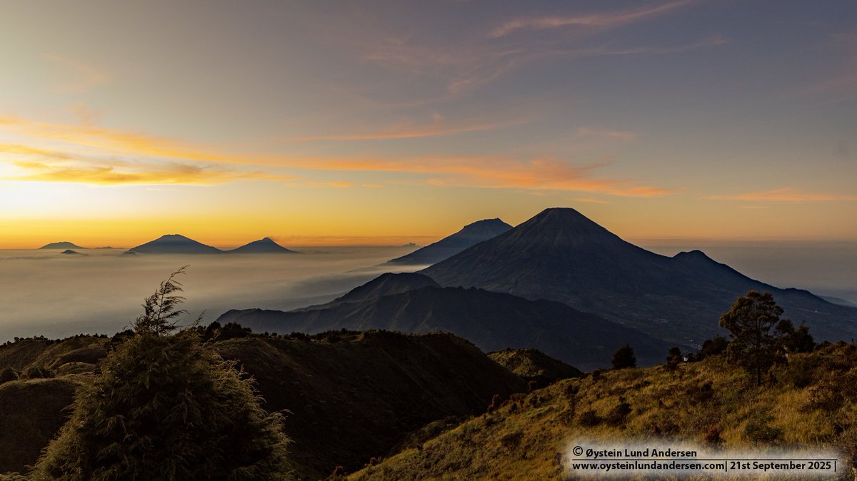 Øystein tweet media