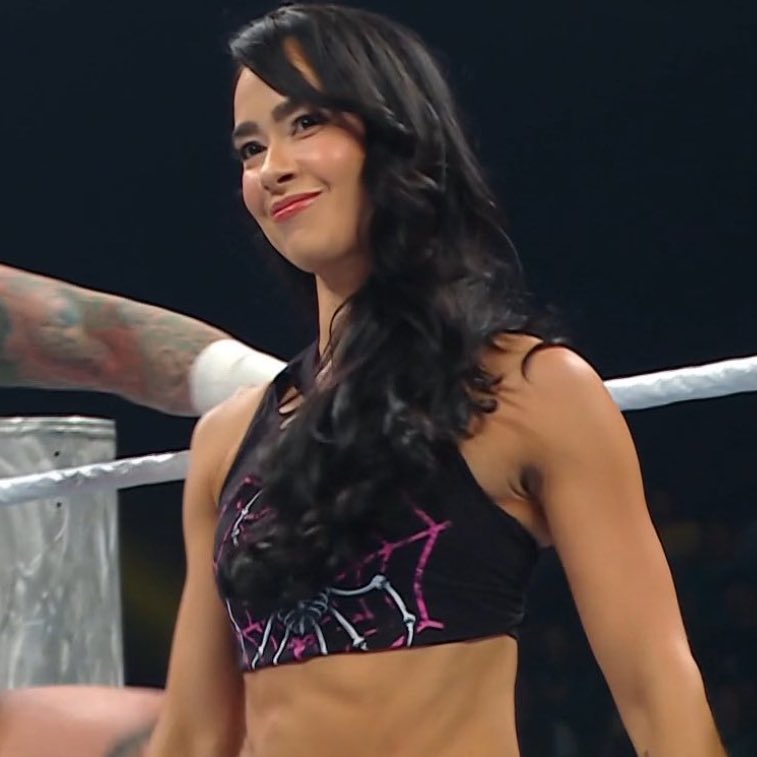 baysctrl's tweet image. this is crazy. #Wrestlepalooza