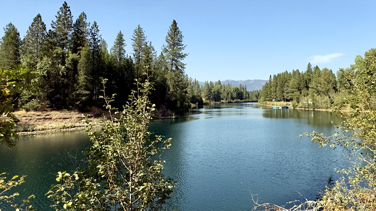 paddleandtrails's tweet image. A great day on the Trail of the Coeur d&apos;Alenes, 40+ miles, Black Rock to east of Enaville with a dip down into Pinehurst as we made our way back... the last few miles were a slight challenge as the wind picked up significantly... 🏔❄️☀️ #Idaho #idahome #railstotrails  #biking