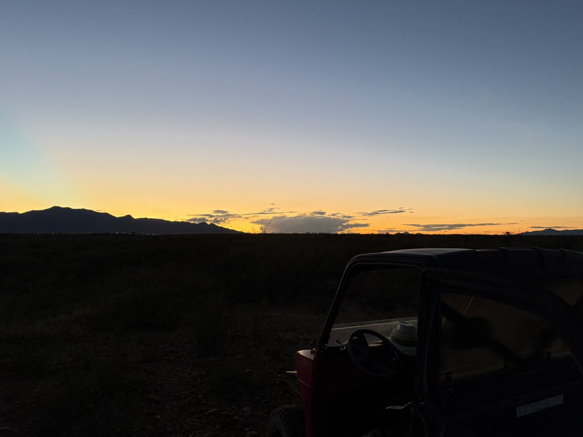 Cruisin’ on twitch…