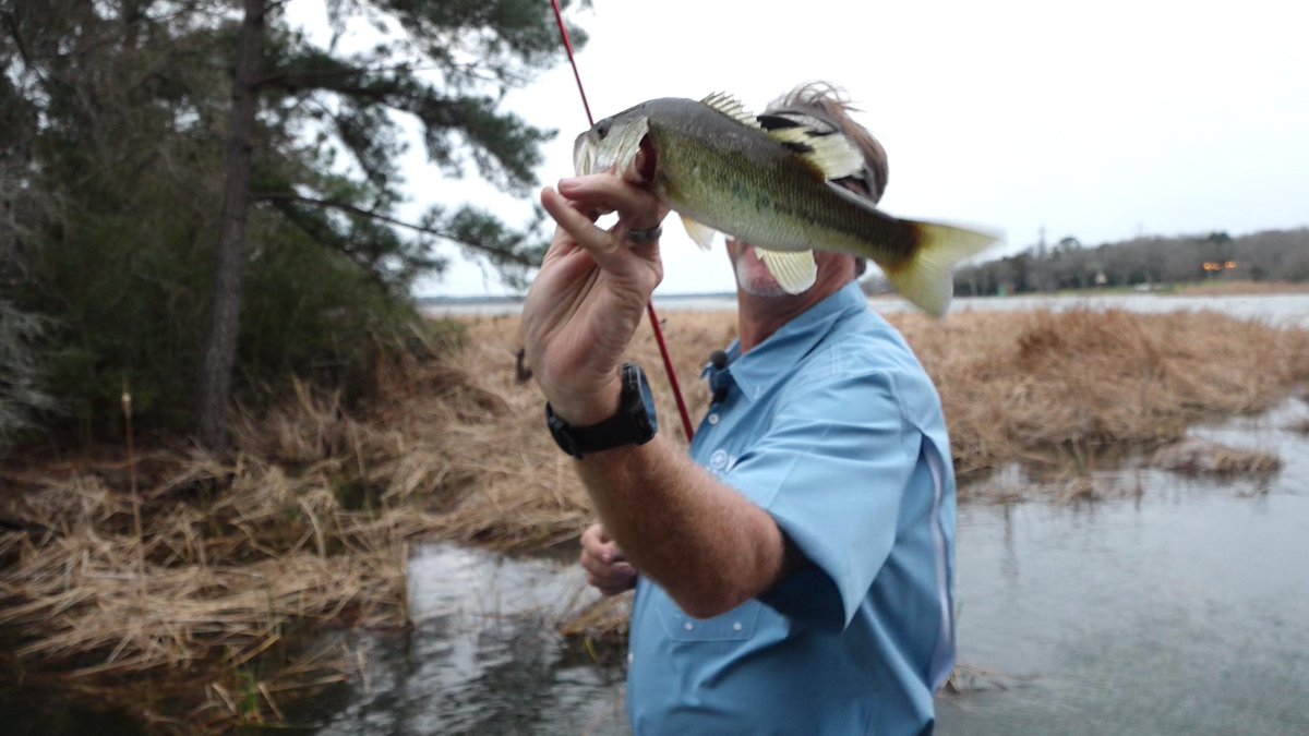 FishHandbook's tweet photo. Getting bites means you're doing things right! Cracking the code during each fishing adventure is part of the challenge and reward.
#BassProShops #Fishing #BassFishing #FishCatch https://t.co/oMIlPvxrzh