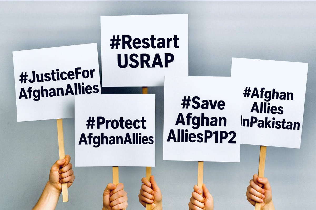 Shirali_Sayed's tweet photo. @NEWSMAX https://t.co/WOVX0Tkq3H