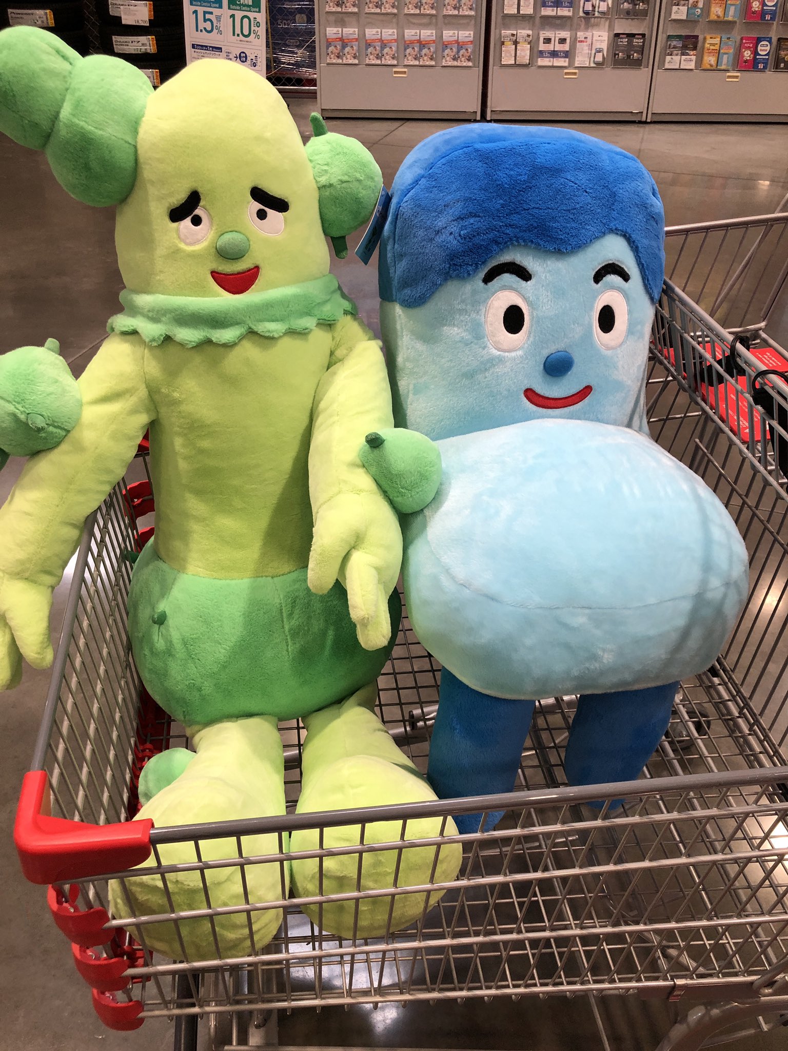 サボさん コストコ