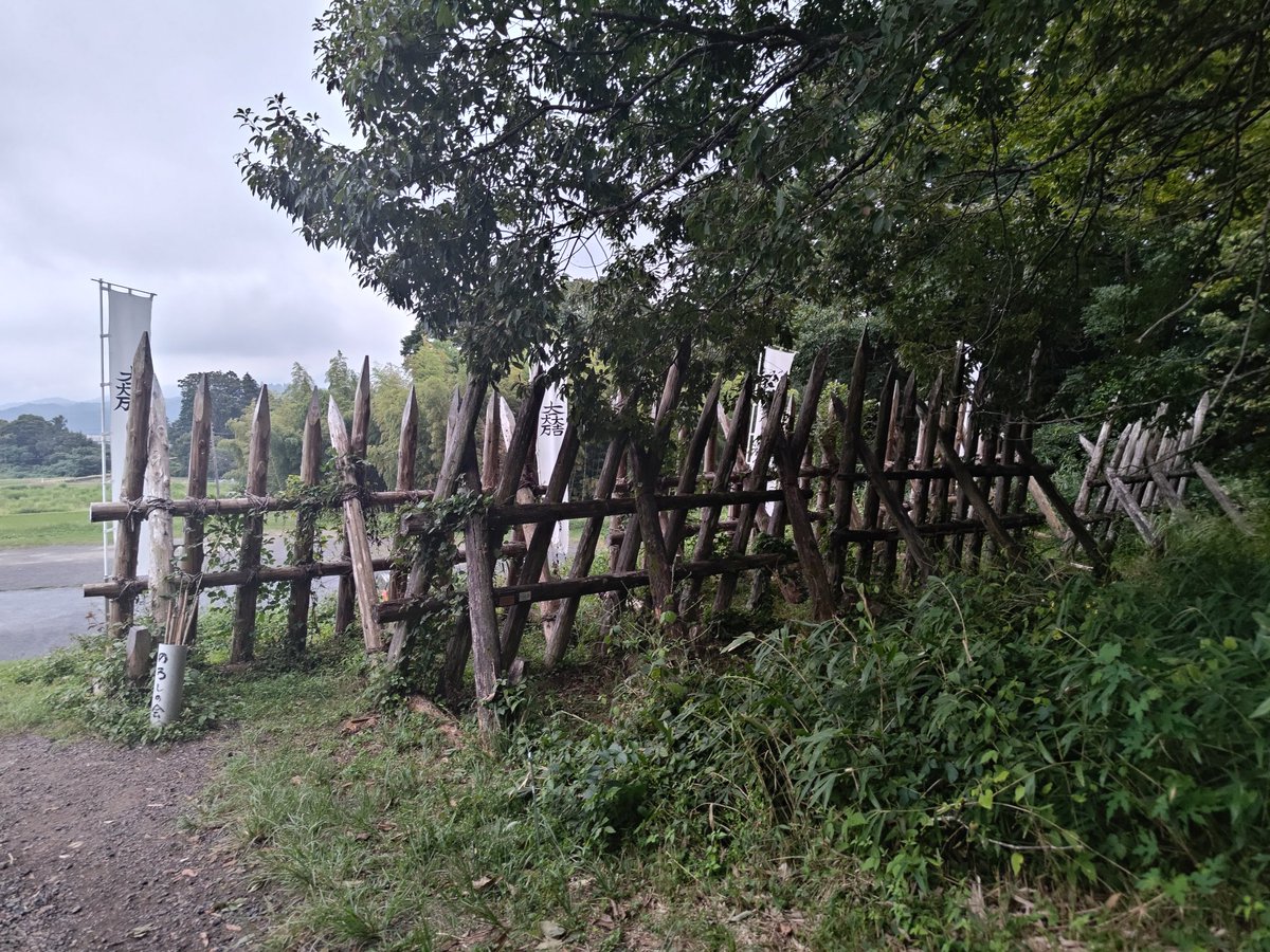 写真がでかすぎるのかな？