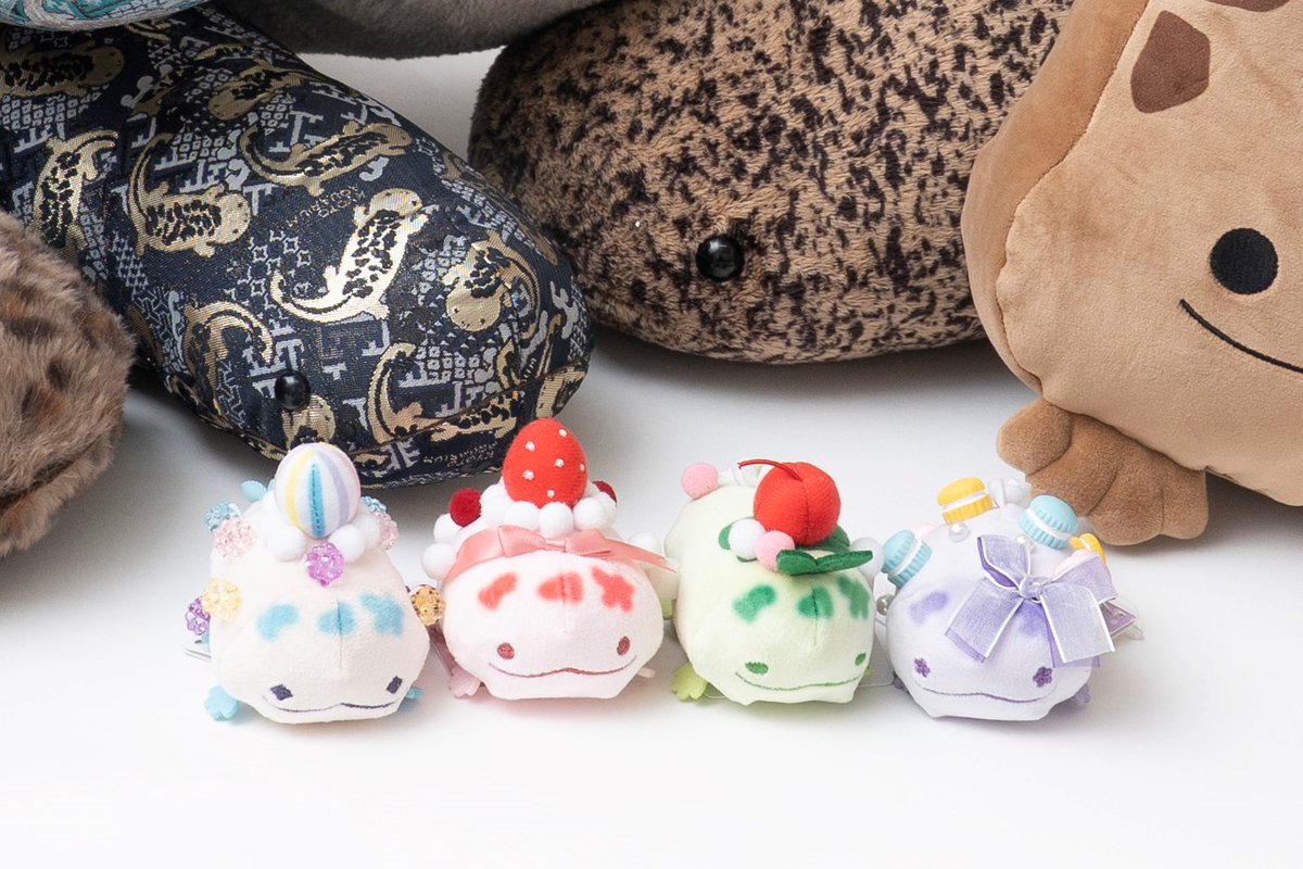 京都水族館 on X