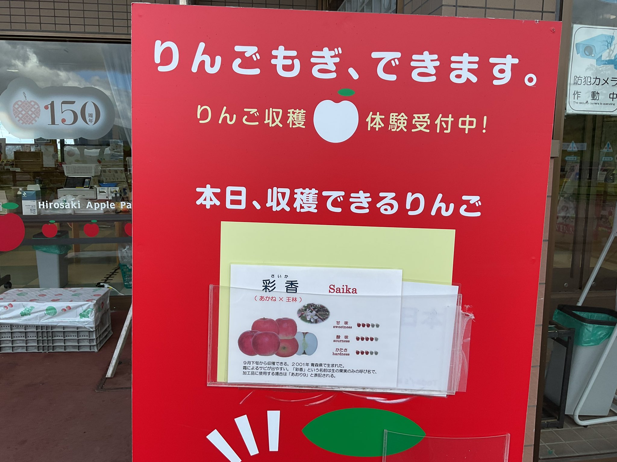 ピサロ、りんご採り、希少画集画、新品額装付、状態良好 2025年最新】Yahoo!オークション -カミーユピサロの中古品・新品