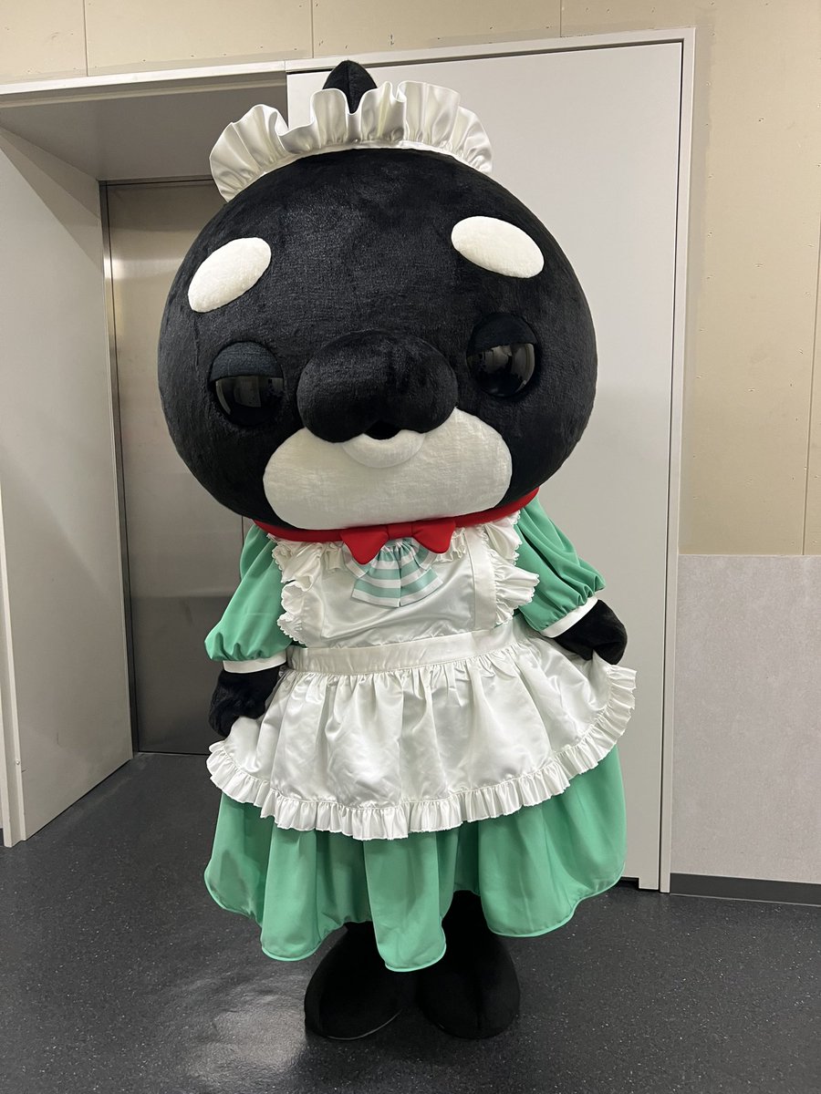⚠️期間限定値下げ⚠️超レア⚠️ディアダニエル 館のレストラン マスコット ぬいば mla7rrrbmdn_1.jpg