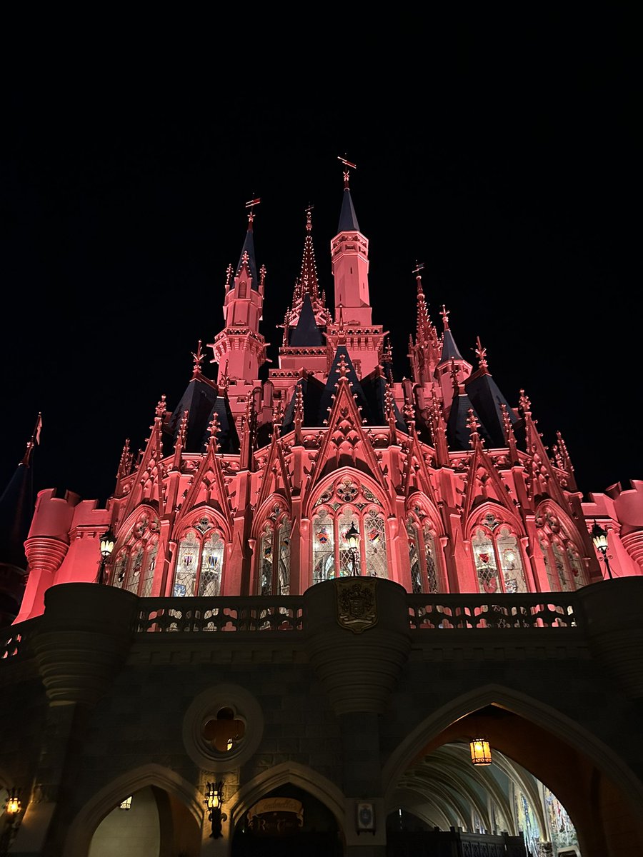 dean_ga's tweet photo. #MNSSHP @WaltDisneyWorld https://t.co/JPI8669a3i