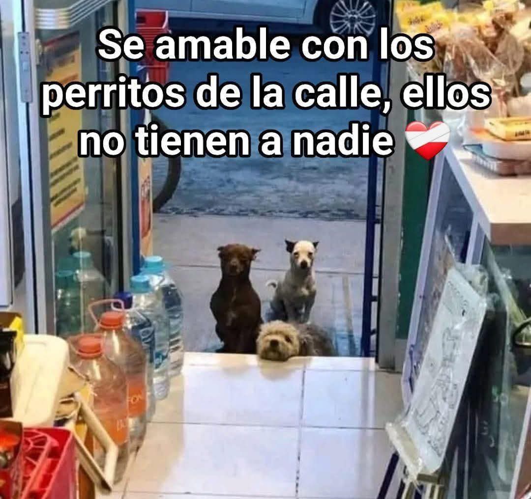 Buenas noches ✨💖