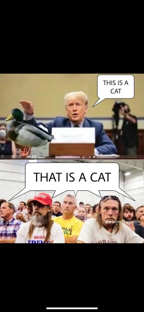 reinashotbox's tweet photo. @Chamade69 @covie_93 #trumpcat
#trumpgas
#trumpgasprices https://t.co/COnSuDNQL1
