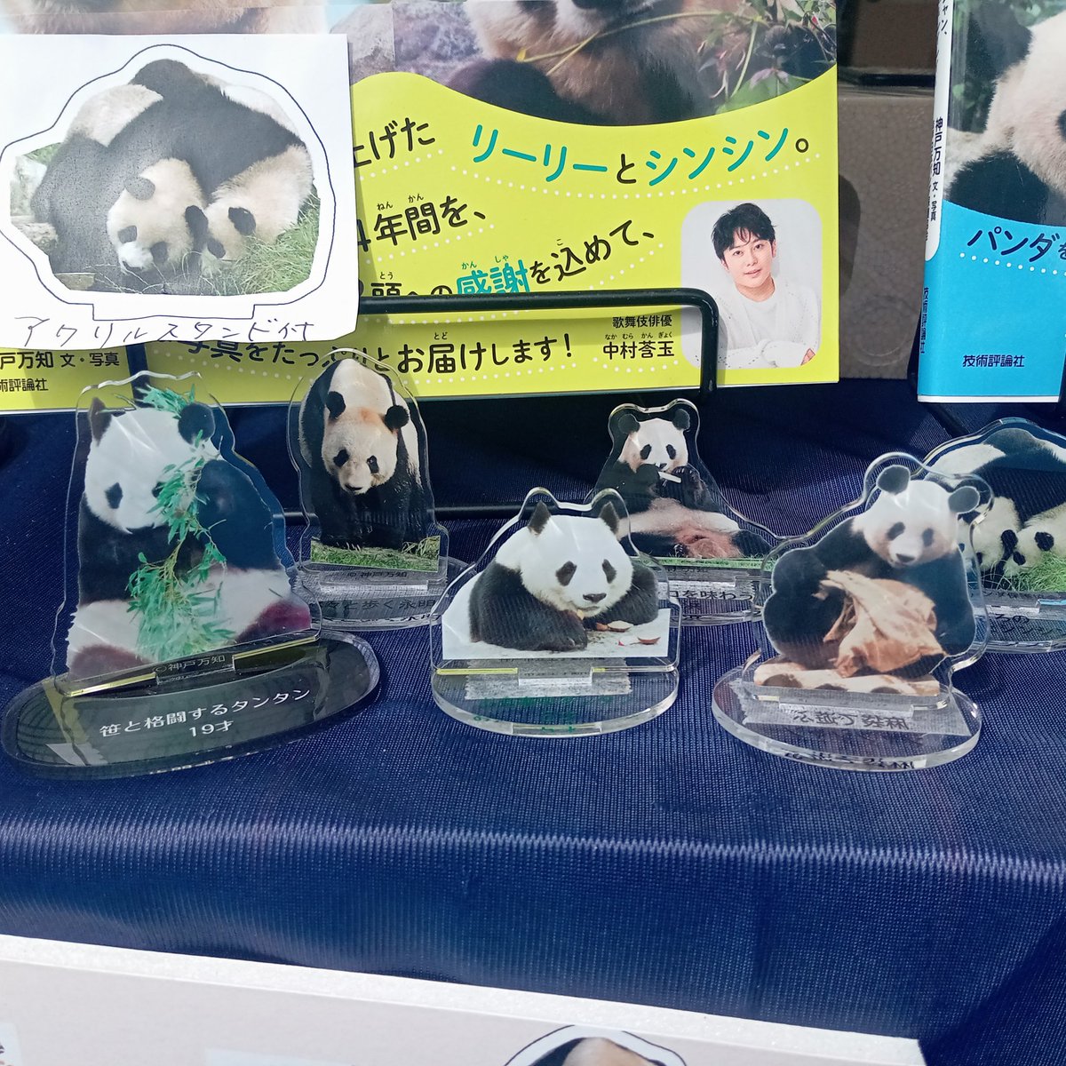 技術評論社パンダ部 (@gihyo_panda) / X