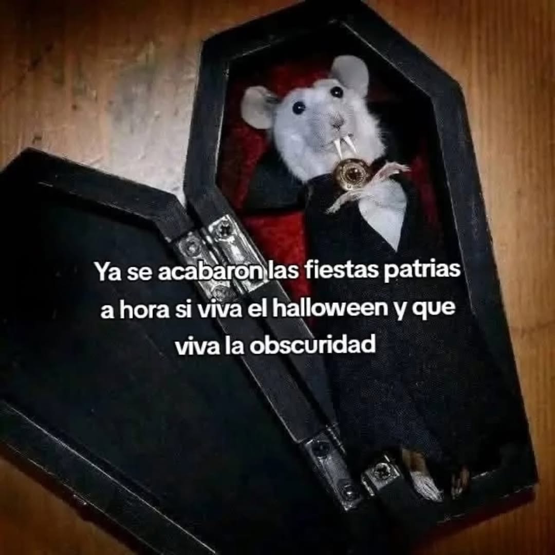 Ojos color sol tweet media