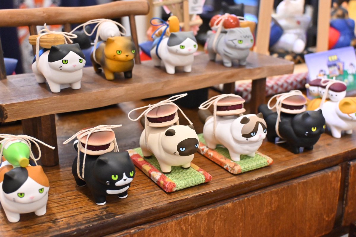 ⭐️ まめねこ ⭐️ まめねこ - البحث / X