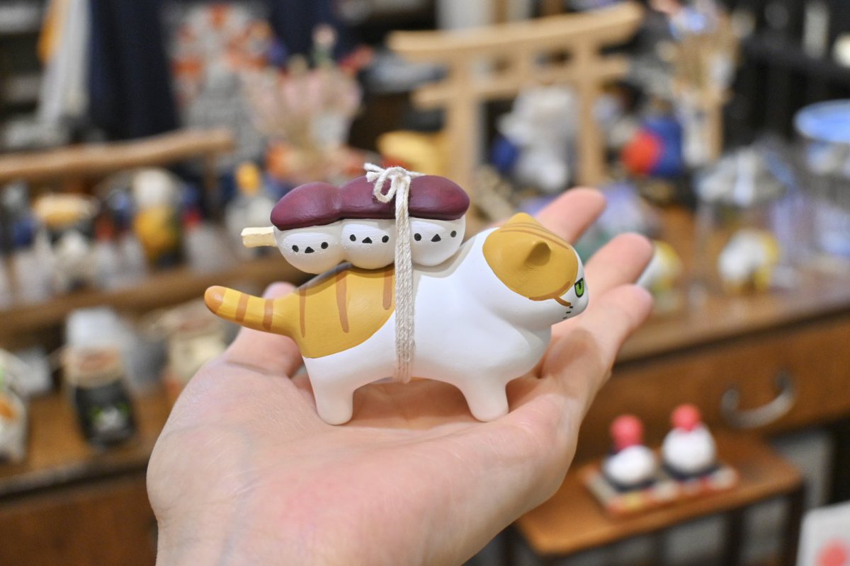 まめねこ - البحث / X