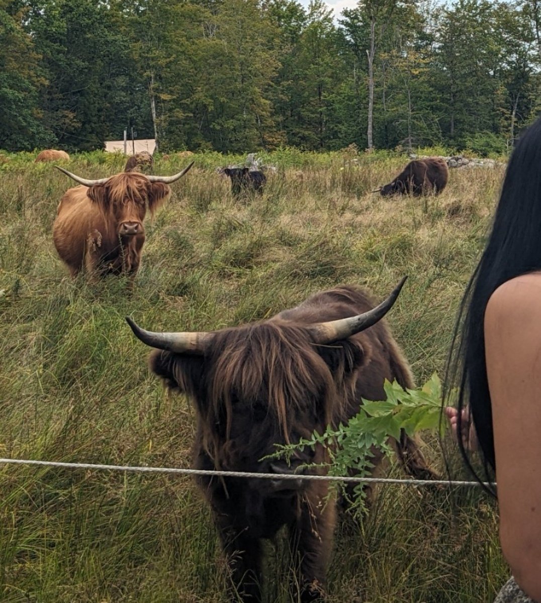 i like capturing moments