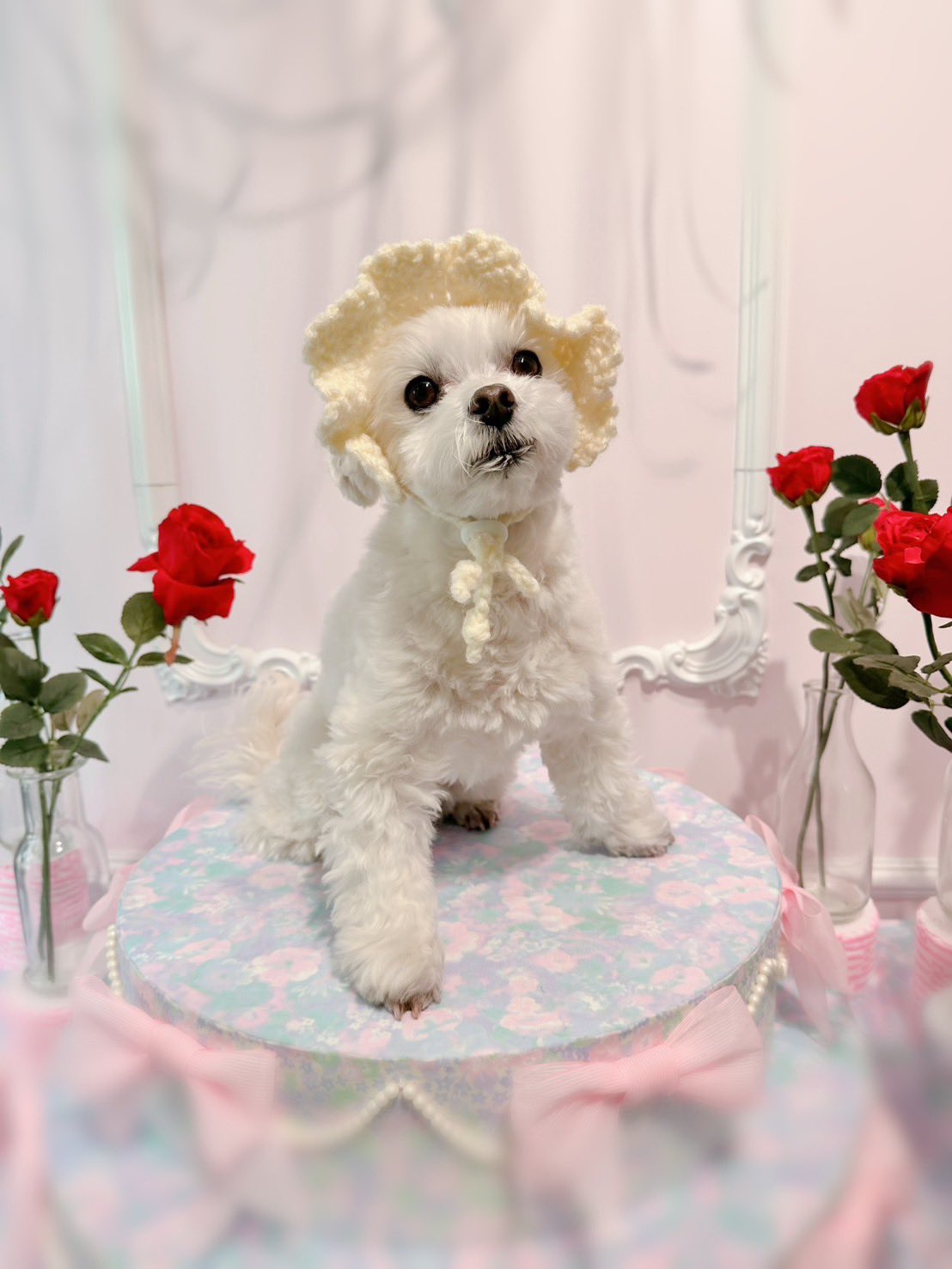 仲良し動物パフェ♡⑰ 🌸