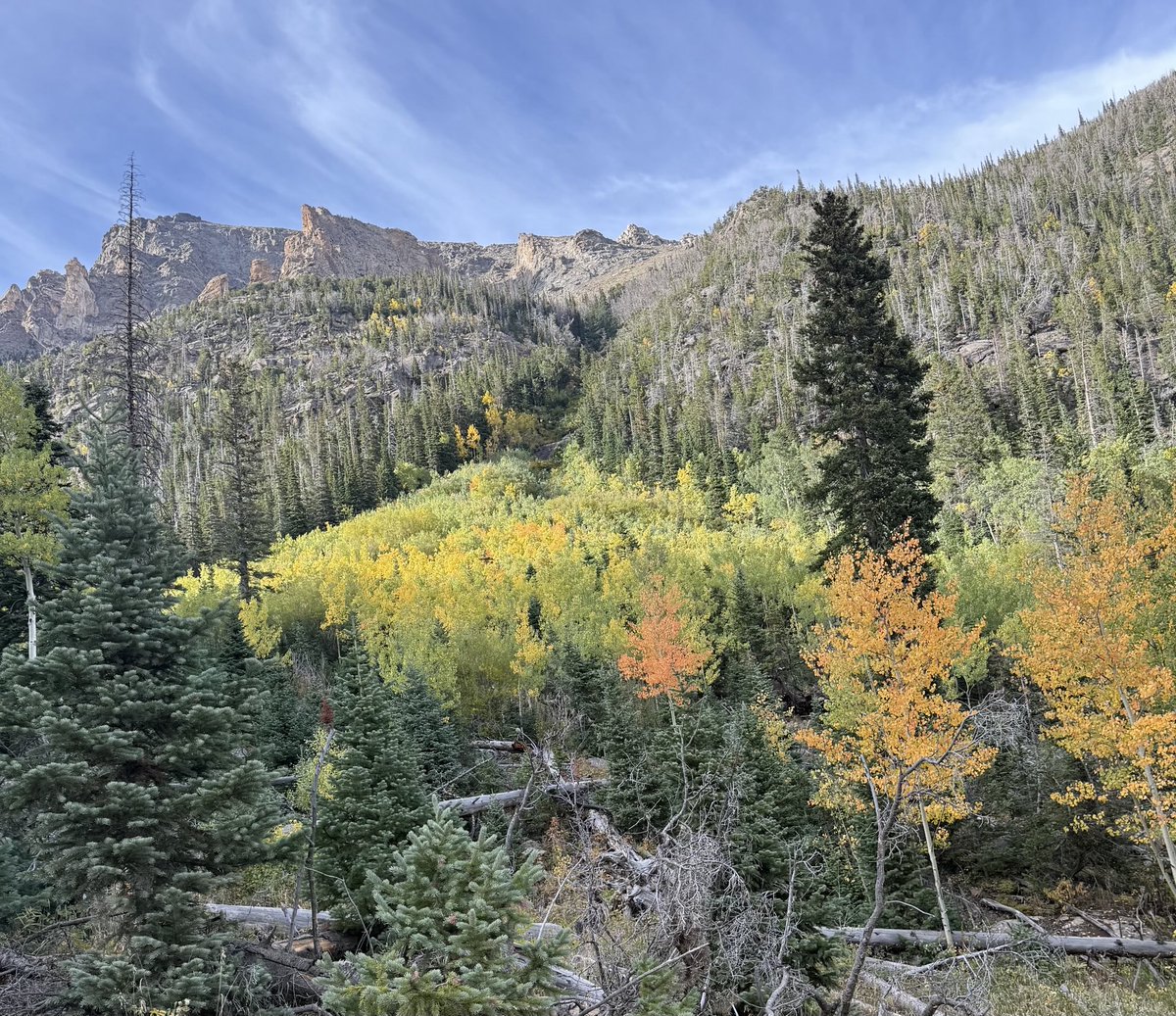 SteveFortson's tweet image. Made a quick trip yesterday to Rocky Mountain National Park 
Fall River Road 

#fallfoliage #leafpeeping #aspens #rmnp #colorado