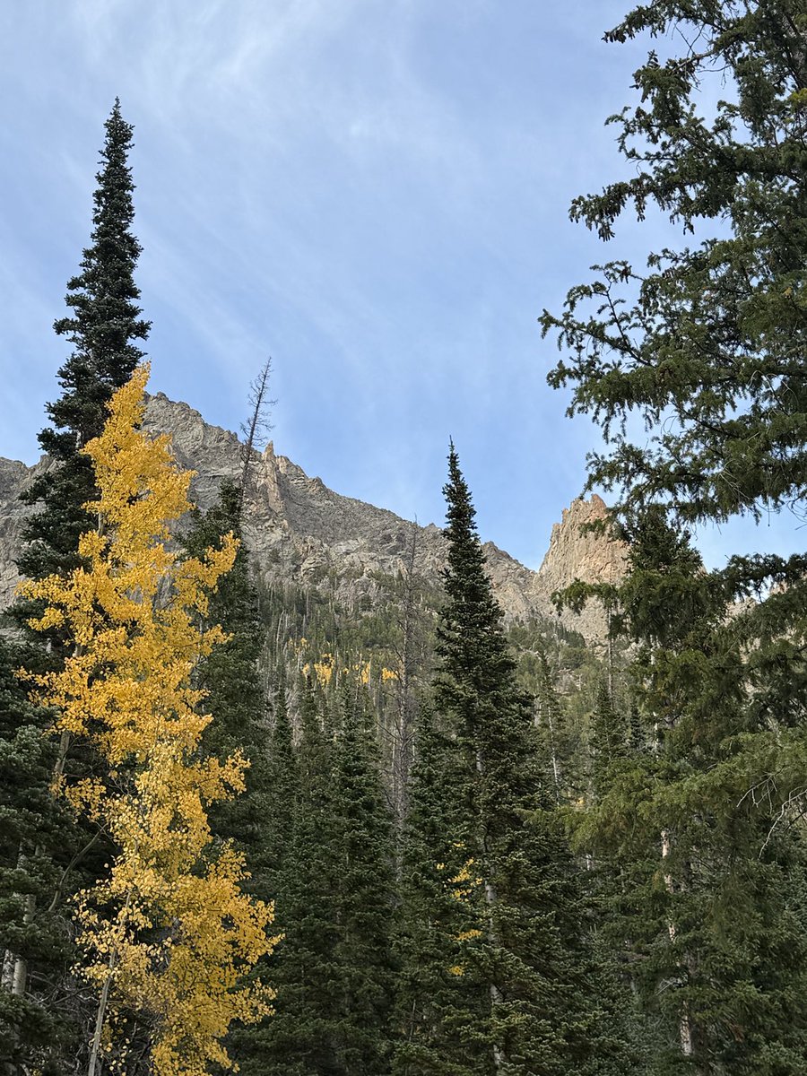 SteveFortson's tweet image. Made a quick trip yesterday to Rocky Mountain National Park 
Fall River Road 

#fallfoliage #leafpeeping #aspens #rmnp #colorado