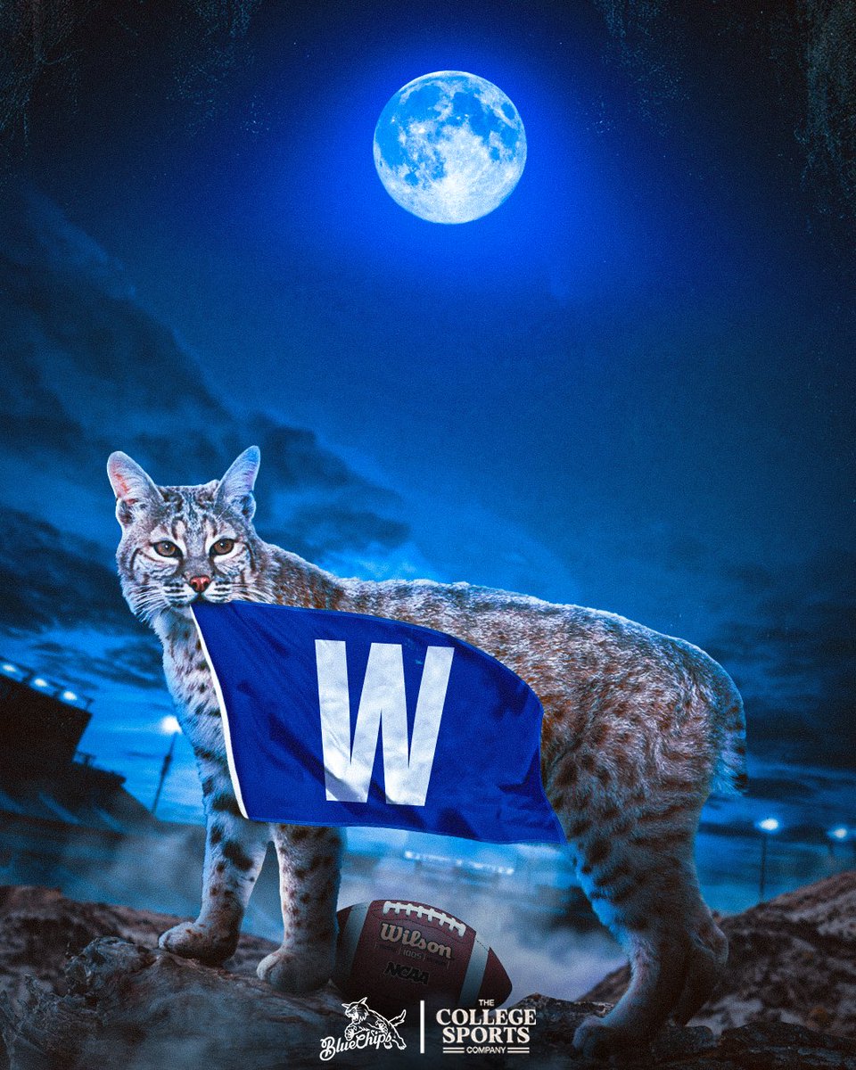 BlueChipsBBN's tweet image. BYE WEEK DUB.