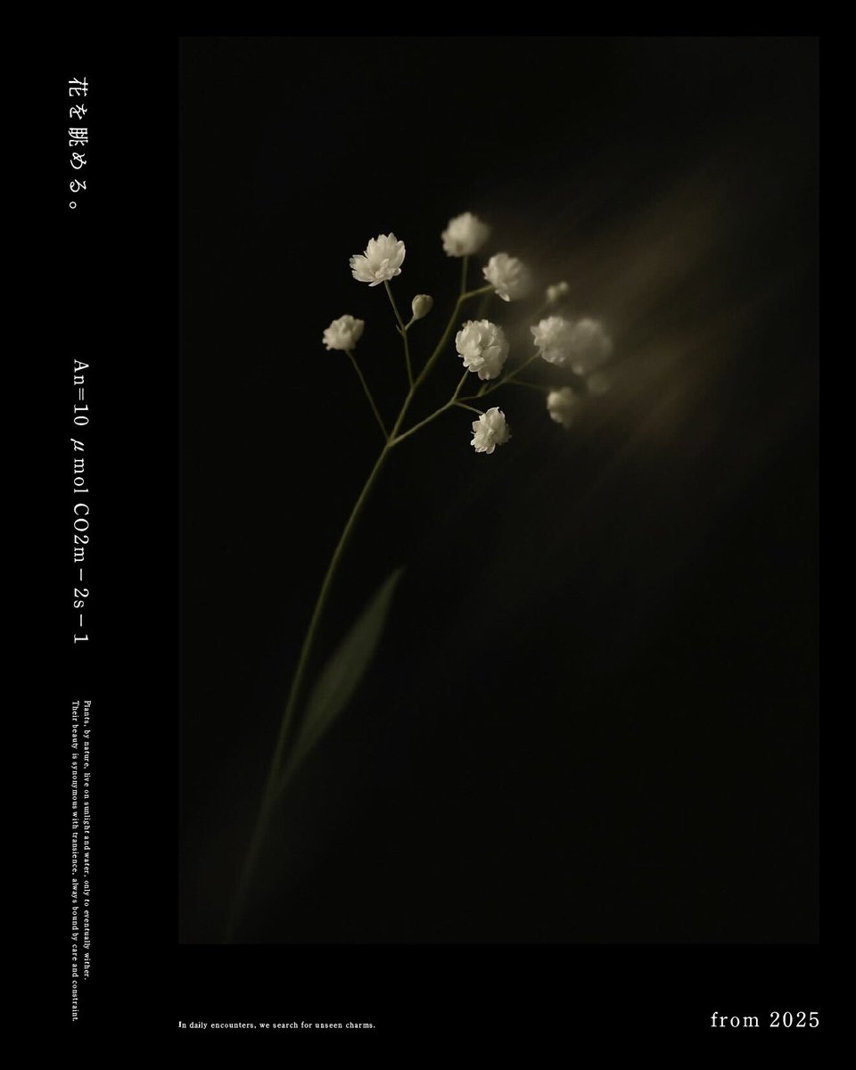 植物は本来、日光と水を糧に生き、やがて枯れていく。
その美しさは儚さと同義であり、同時に管理や制約を前提としている。
日々触れあうなかで、まだ見ぬ魅力を探してみる。