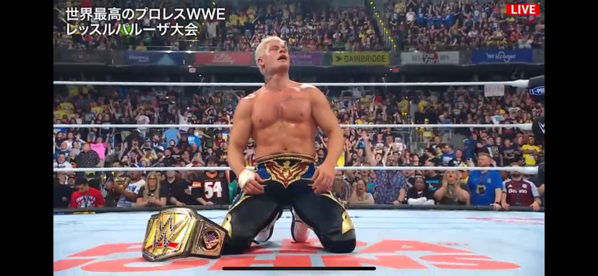 コーディ・ローデス - Search / X