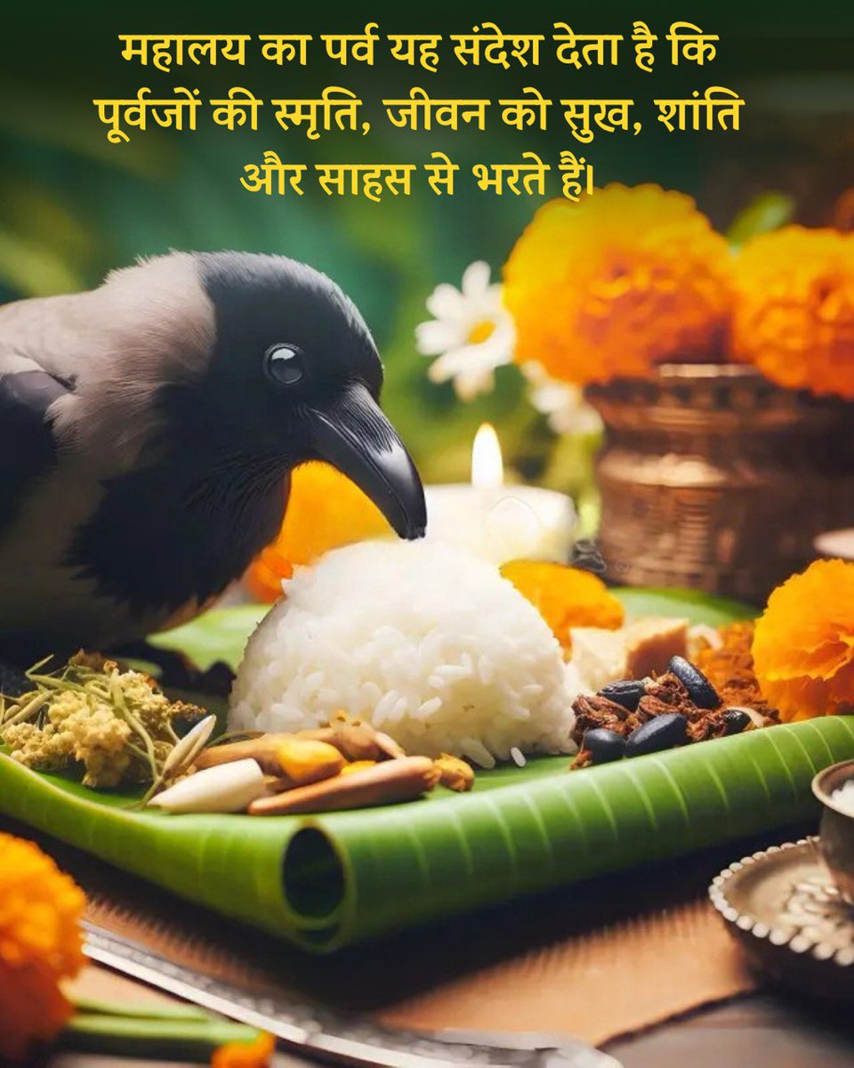 #SarvapitriAmavasya - Sant Shri Asharamji Bapu denoting 
Shraddh Mahima says that Gratitude For Ancestors is the fragrance of Sanatan Dharma 🌸
Through Shraddh, we honor the ancestors who nurtured us with love, values &amp; wisdom. Shraddh connects us to our roots &amp; their blessings.