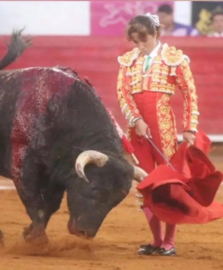 <a href="/Hilda_Tenorio/">Hilda Tenorio</a> Verdad y entrega en su concepto. En Venezuela le vimos ante una exigente corrida de los Marañones.