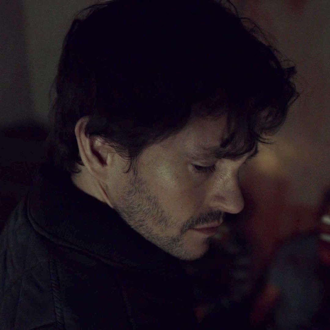 fabledfool's tweet photo. He’s so beautiful it makes me angry. https://t.co/pFeV95r143