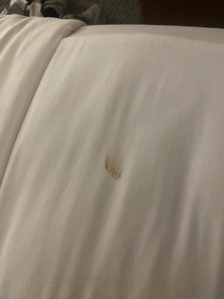 pluckngrit's tweet image. Come On @HiltonHotels @EmbassySuites surely you can afford to put non-stained sheets on my “fresh” room.