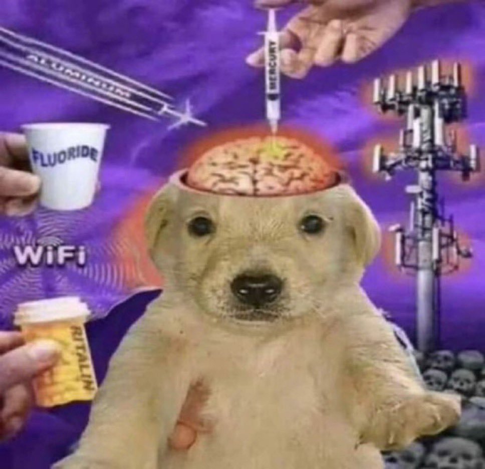 how it feels scrolling edtwt trying to retrigger a honeymoon phase