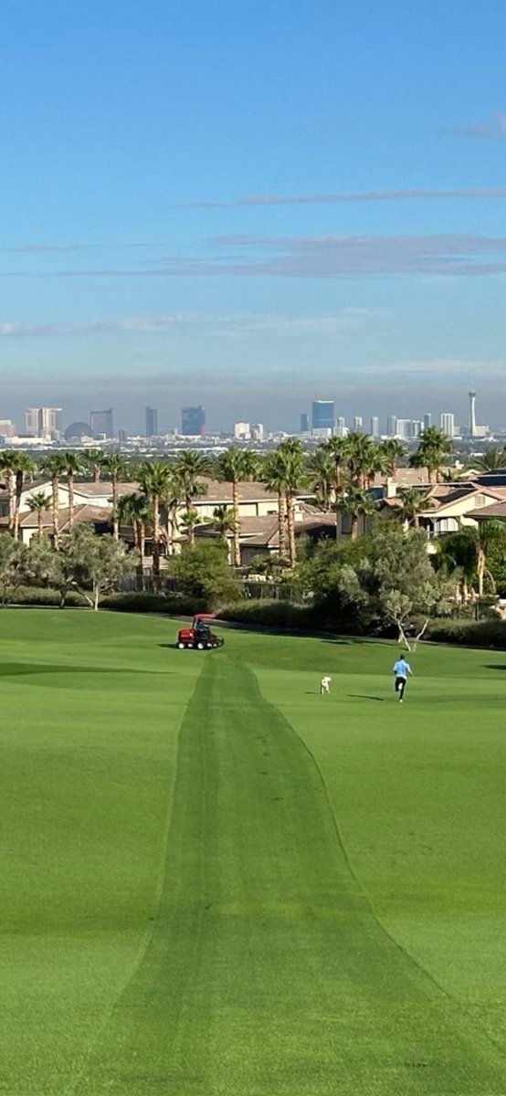 Jody G Farber tweet media