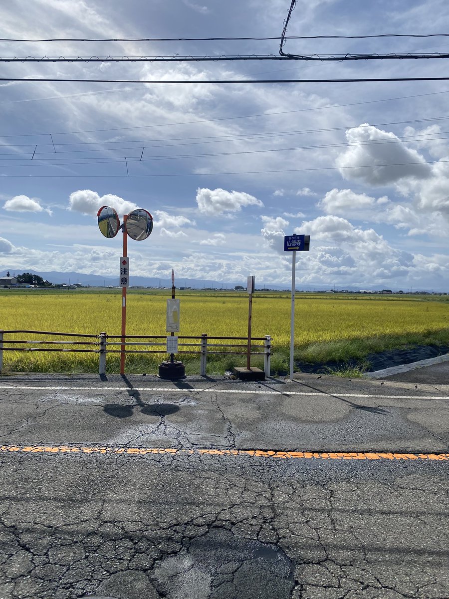 スケリョ tweet media