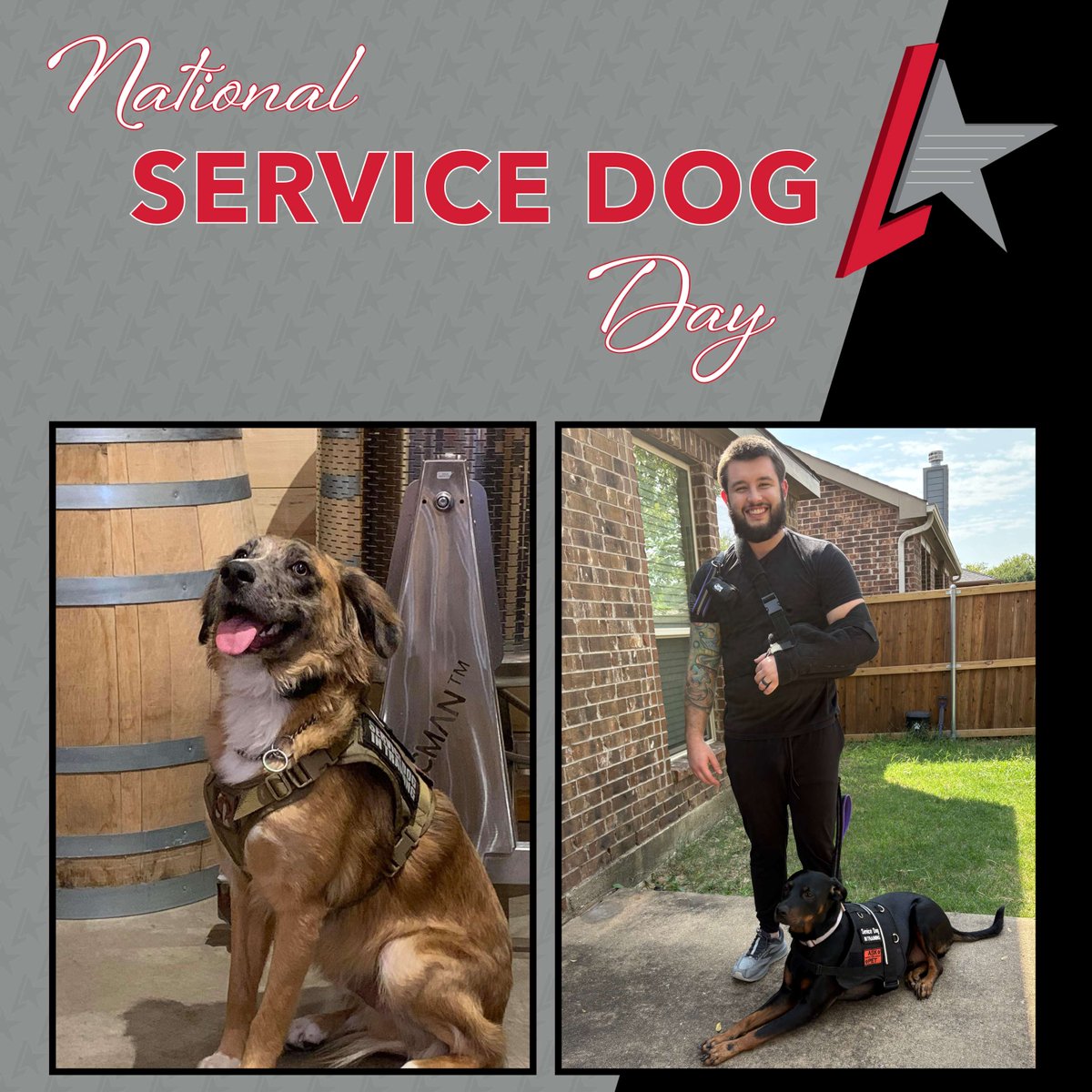 On #NationalServiceDogDay, we honor Sinbad &amp; Canella, two incredible service dogs supporting our team members with PTSD from their military service. They’re more than pets; they’re partners in healing, strength, &amp; resilience.