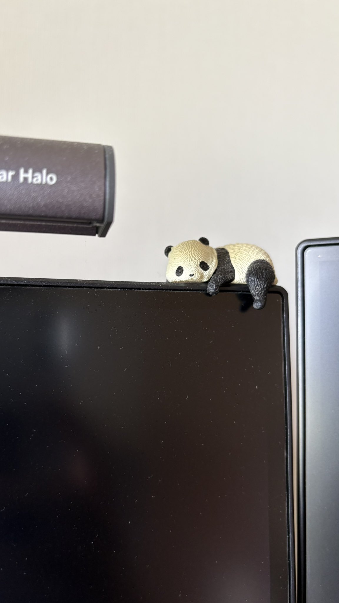 つよきパンダ🌏▷ﾊｯﾋﾟｰﾊﾞｽﾞｰｶｰｽﾞ!!! (@panda0456) / X