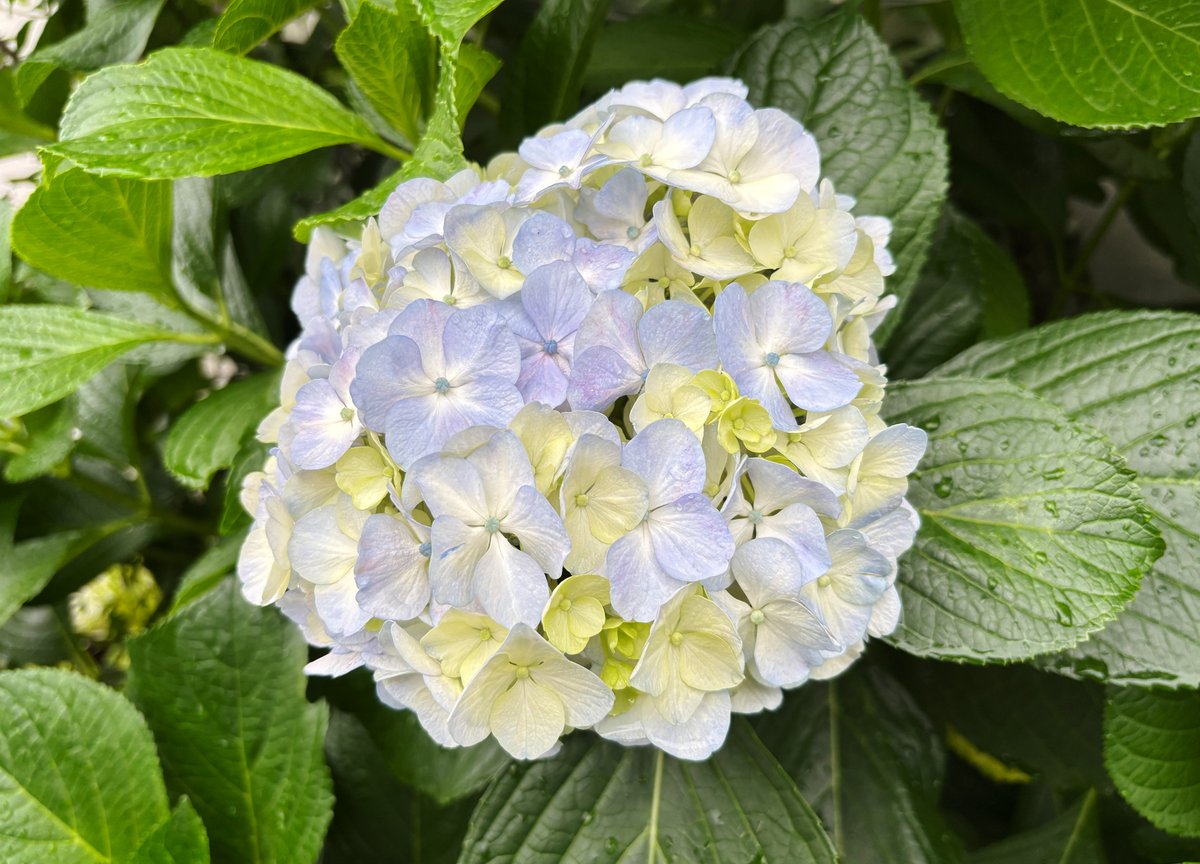 TOMO (@TOMO43684431) / X