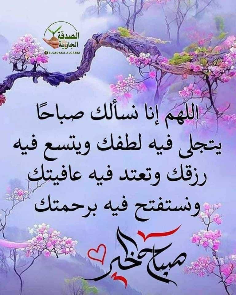 aldadi2008's tweet photo. https://t.co/i3Q6Ha6KSQ