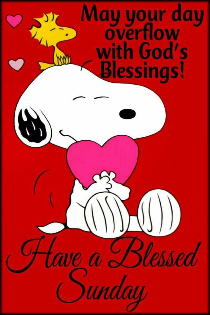 snoopyfacts's tweet photo. Let this Sunday fill your heart with gratitude and happiness.
#Snoopy #Peanuts https://t.co/96PbbtiQsl