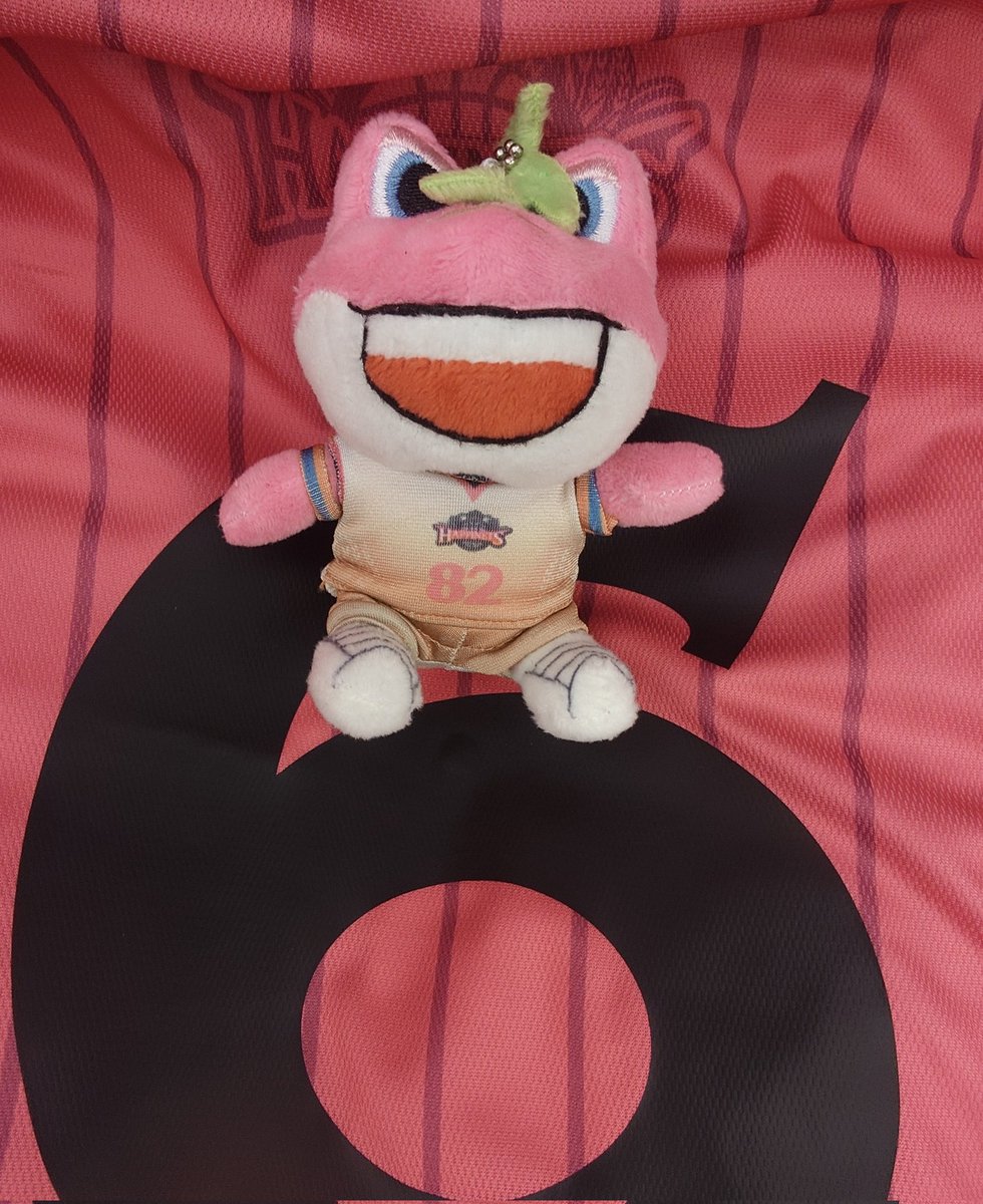 なっち様 トリックスター / Ninja 1000SX（20-24）政府認証スリップオン