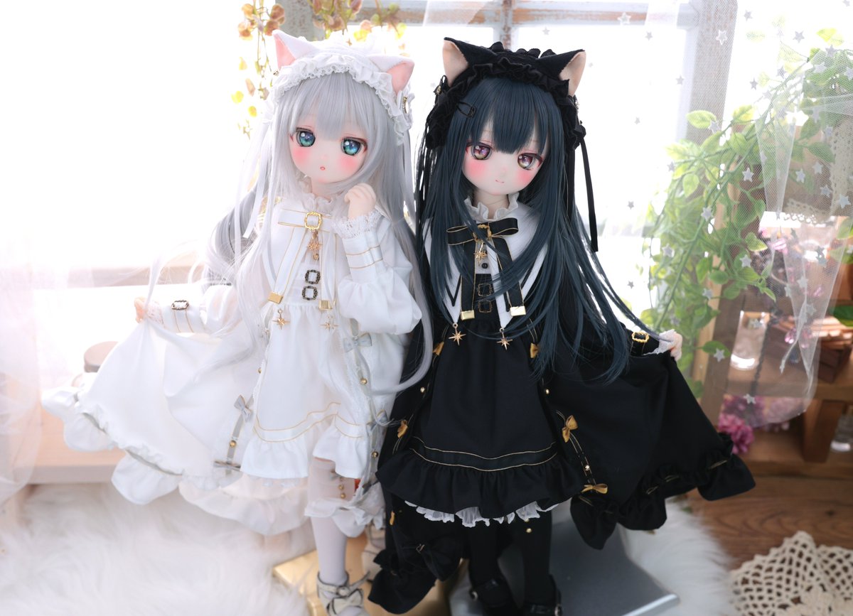 はやぶさまん はやぶさ🐈 (@hayavusameron) / X