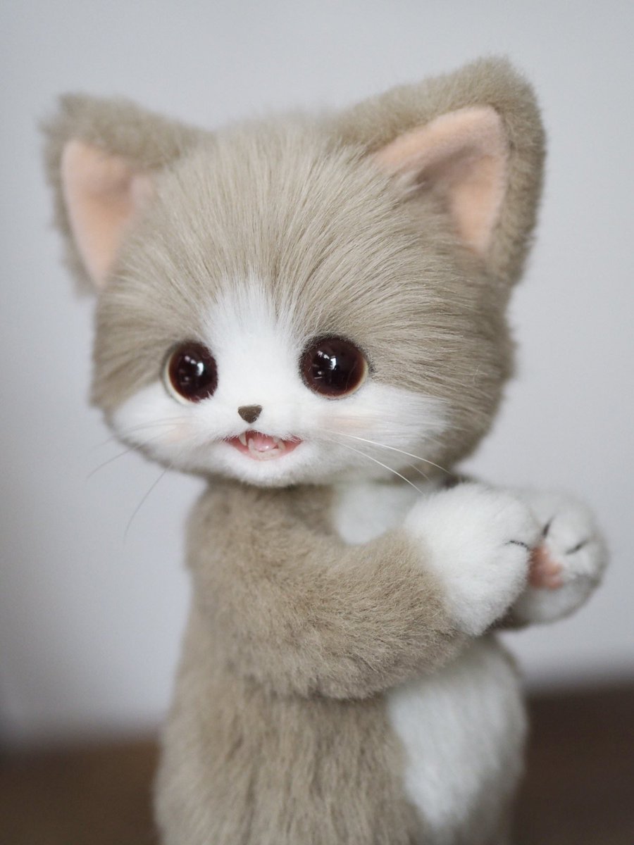 creamy (@yukiriri_1431) / Posts and Replies / X